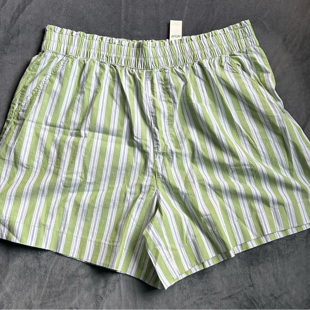 Aerie Green and White Flat Front Shorts